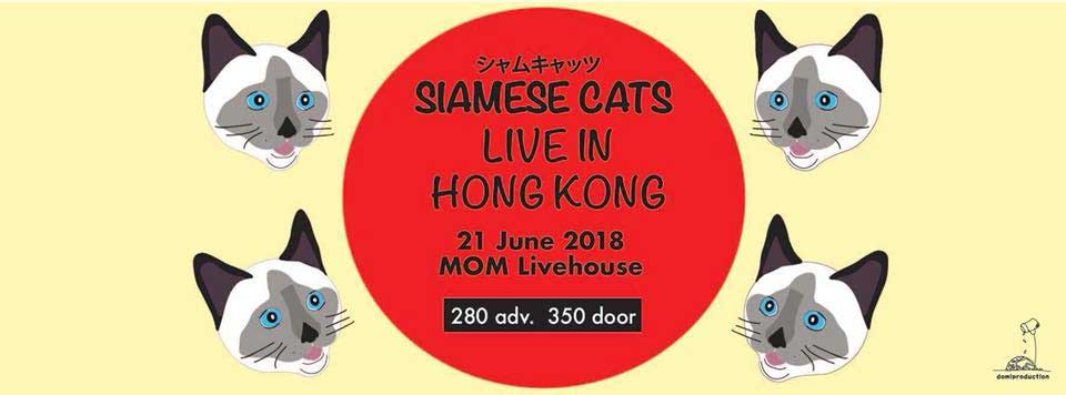 Siamese Cats